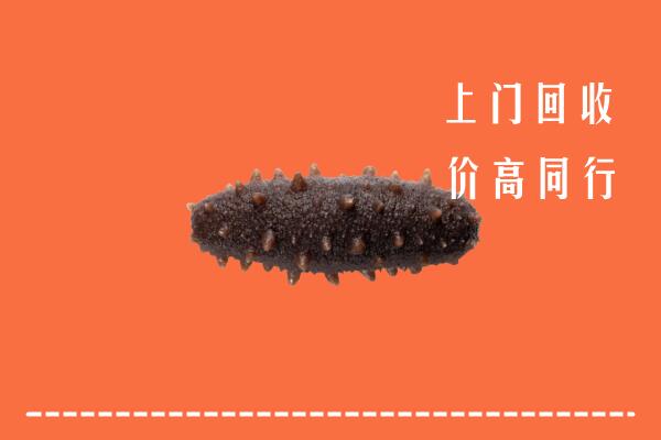 赤峰回收海参